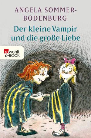 Cover of the book Der kleine Vampir und die große Liebe by Ursula Poznanski, Arno Strobel