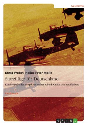 Cover of the book Sturzflüge für Deutschland by Daniel Hitzing