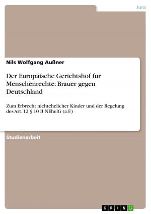 Cover of the book Der Europäische Gerichtshof für Menschenrechte: Brauer gegen Deutschland by Marc Neumeister