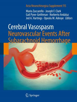 Cover of the book Cerebral Vasospasm: Neurovascular Events After Subarachnoid Hemorrhage by Eldar M. Gadzijev, Dean Ravnik