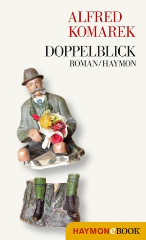 Cover of the book Doppelblick by Heinz Noflatscher