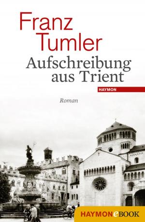 Cover of the book Aufschreibung aus Trient by Klaus Merz