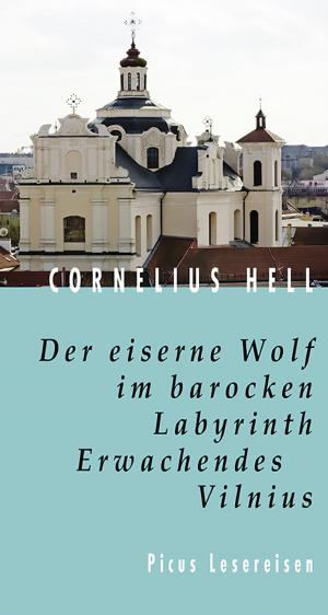 Cover of the book Der eiserne Wolf im barocken Labyrinth. Erwachendes Vilnius by Christoph Hein, Udo Schmidt