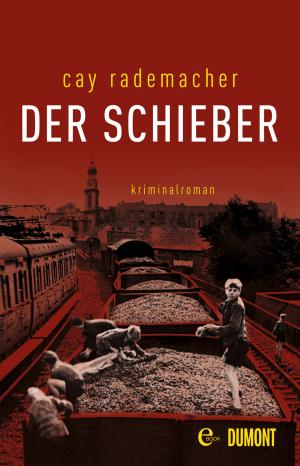 Cover of the book Der Schieber by Iris Grädler