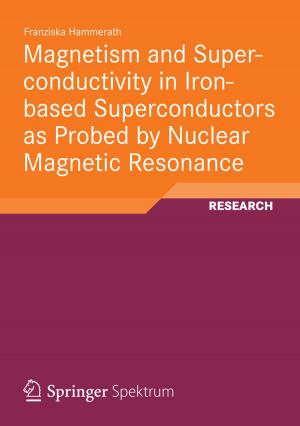 Cover of the book Magnetism and Superconductivity in Iron-based Superconductors as Probed by Nuclear Magnetic Resonance by Dietmar Goldammer