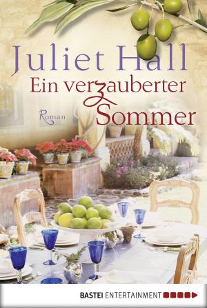 Cover of the book Ein verzauberter Sommer by Ellen Jacobi
