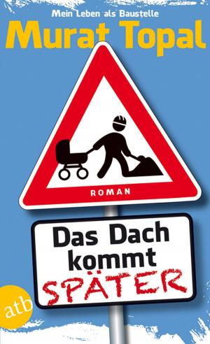 Cover of the book Das Dach kommt später by Sebastian Herrmann