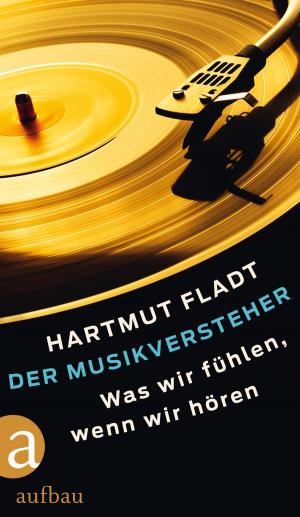 Cover of the book Der Musikversteher by Deon Meyer