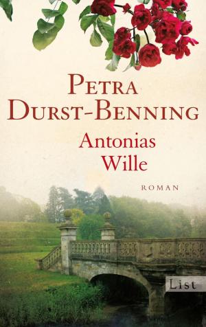 Book cover of Antonias Wille
