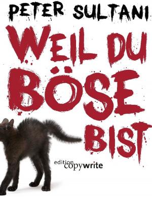 Cover of the book Weil du böse bist by Friedrich Borrosch