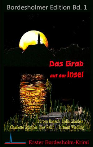 Cover of the book Das Grab auf der Insel by Dietrich Theden