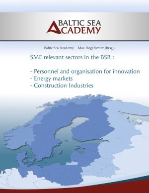 Cover of the book SME relevant sectors in the BSR by Boris Creemers