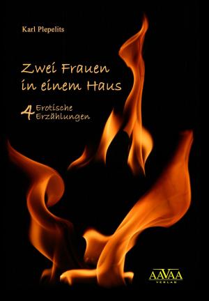 Cover of the book Zwei Frauen in einem Haus by Astrid Pfister