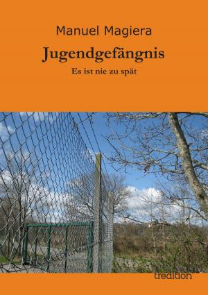 Book cover of Jugendgefängnis