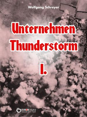 Book cover of Unternehmen Thunderstorm, Band 1