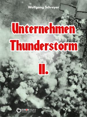 Cover of the book Unternehmen Thunderstorm, Band 2 by Hildegard Schumacher, Siegfried Schumacher