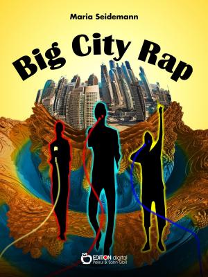 Cover of the book Big City Rap by Wolfgang Schreyer
