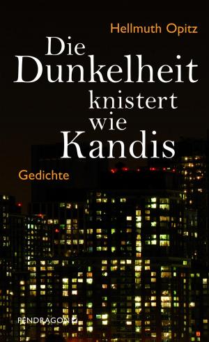Book cover of Die Dunkelheit knistert wie Kandis