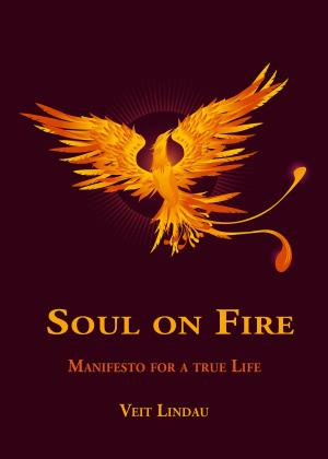 Book cover of Soul on Fire. True Life Manifesto