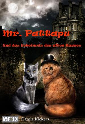 Cover of Mr. Pattapu und das Geheimnis des alten Hauses