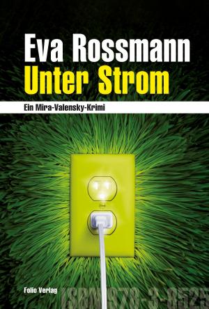 Cover of the book Unter Strom by Bora Ćosić