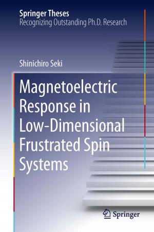 Cover of the book Magnetoelectric Response in Low-Dimensional Frustrated Spin Systems by 
