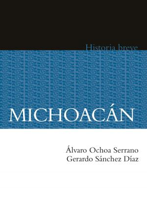 Cover of the book Michoacán by David A. Brading