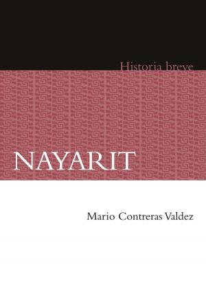 Cover of the book Nayarit by Eduardo Matos Moctezuma