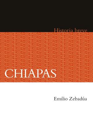 Cover of the book Chiapas by Robert Ricard, Ángel María Garibay K.