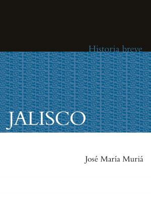 Cover of the book Jalisco by Isidro Fabela