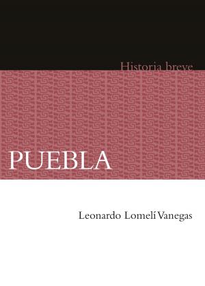 Cover of the book Puebla by Vicente Leñero