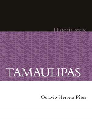 Cover of the book Tamaulipas by Bernardo Esquinca