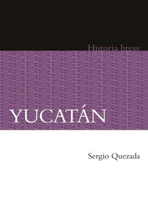 Cover of the book Yucatán by Pablo Latapí Sarre