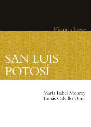 Cover of the book San Luis Potosí by Fernando Pessoa