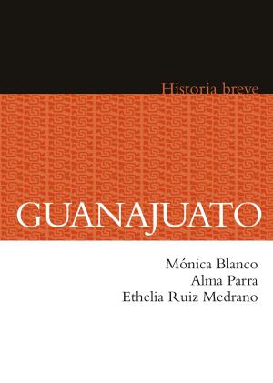 Cover of the book Guanajuato by Amparo Dávila