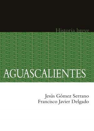 Book cover of Aguascalientes