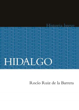 Cover of the book Hidalgo by Juan Alcántara