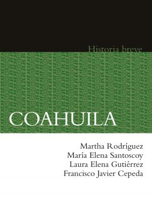 Cover of the book Coahuila by Aurora Gómez Galvarriato, Enrique G. de la G.