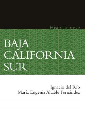 Cover of the book Baja California Sur by Miguel de Cervantes Saavedra, Wilhelm Dilthey