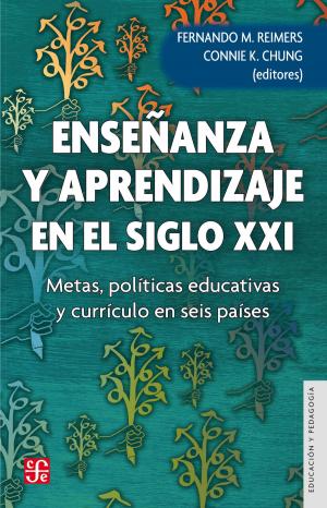 Cover of the book Enseñanza y aprendizaje en el siglo XXI by Enrique González Pedrero