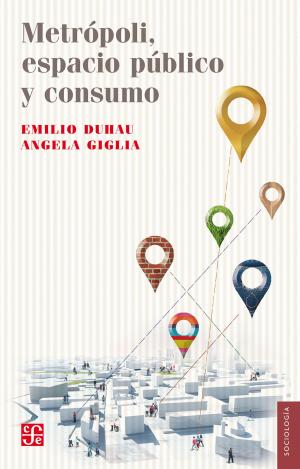 Cover of the book Metrópoli, espacio público y consumo by Aurelio Asiain
