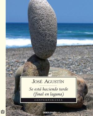 Cover of the book Se está haciendo tarde (final en laguna) by Jorge Volpi