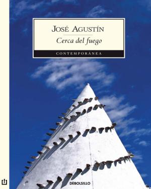 Cover of the book Cerca del fuego by Humberto Bautista Rodríguez