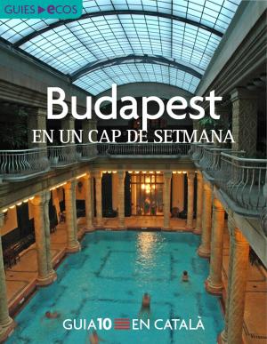 Cover of the book Budapest. En un cap de setmana by 