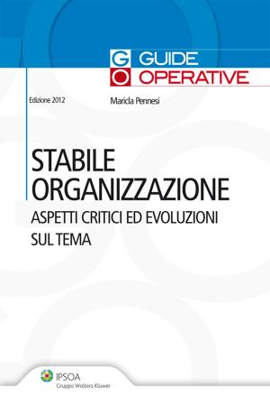 Cover of the book Stabile organizzazione by M.Brisciani, A.Casotti, L.Failla, MR.Gheido; B.La Porta, E.Massi, P.Rausei, F. Rotondi