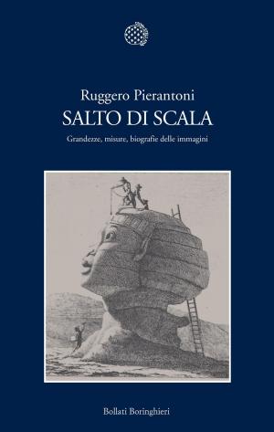 Cover of the book Salto di scala by Sigmund Freud, Albert Einstein