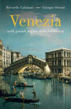 bigCover of the book Venezia nelle grandi pagine della letteratura by 
