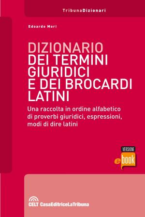 Cover of the book Dizionario dei termini giuridici e dei brocardi latini by Tiziana Fragomeni