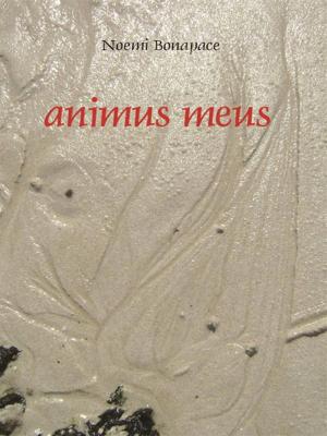 Cover of the book Animus Meus by Nadine Léon