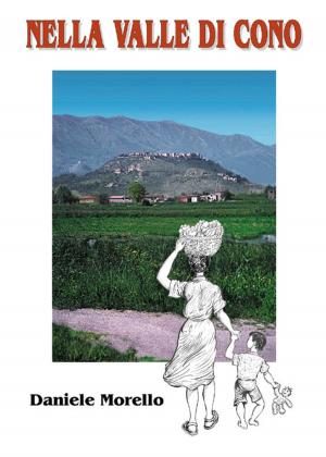Cover of the book Nella valle di Cono by Marco Ravasini